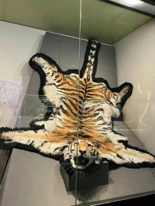 震惊!中国海关博物馆的展览品,真敢走私啊!