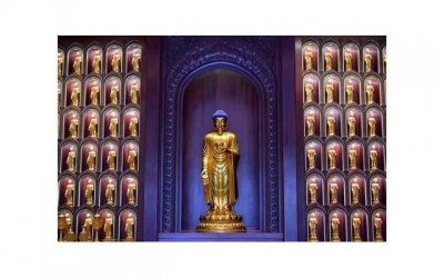 我恨水瓶座,水瓶座为什么不好惹