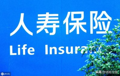 中国人寿保险品种(人寿保险大归纳看看哪款适合你)
